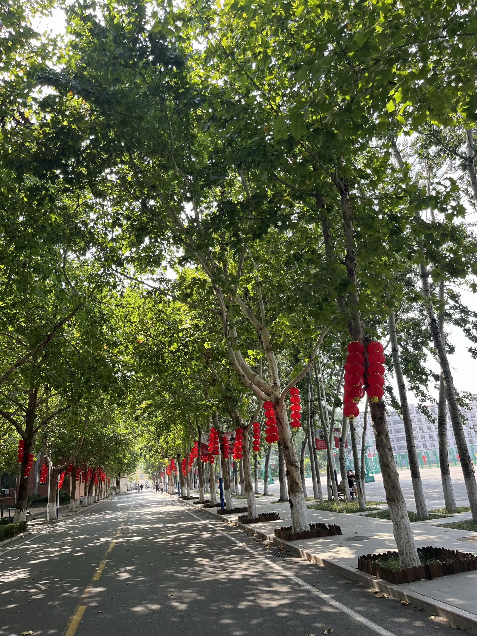 校园环境