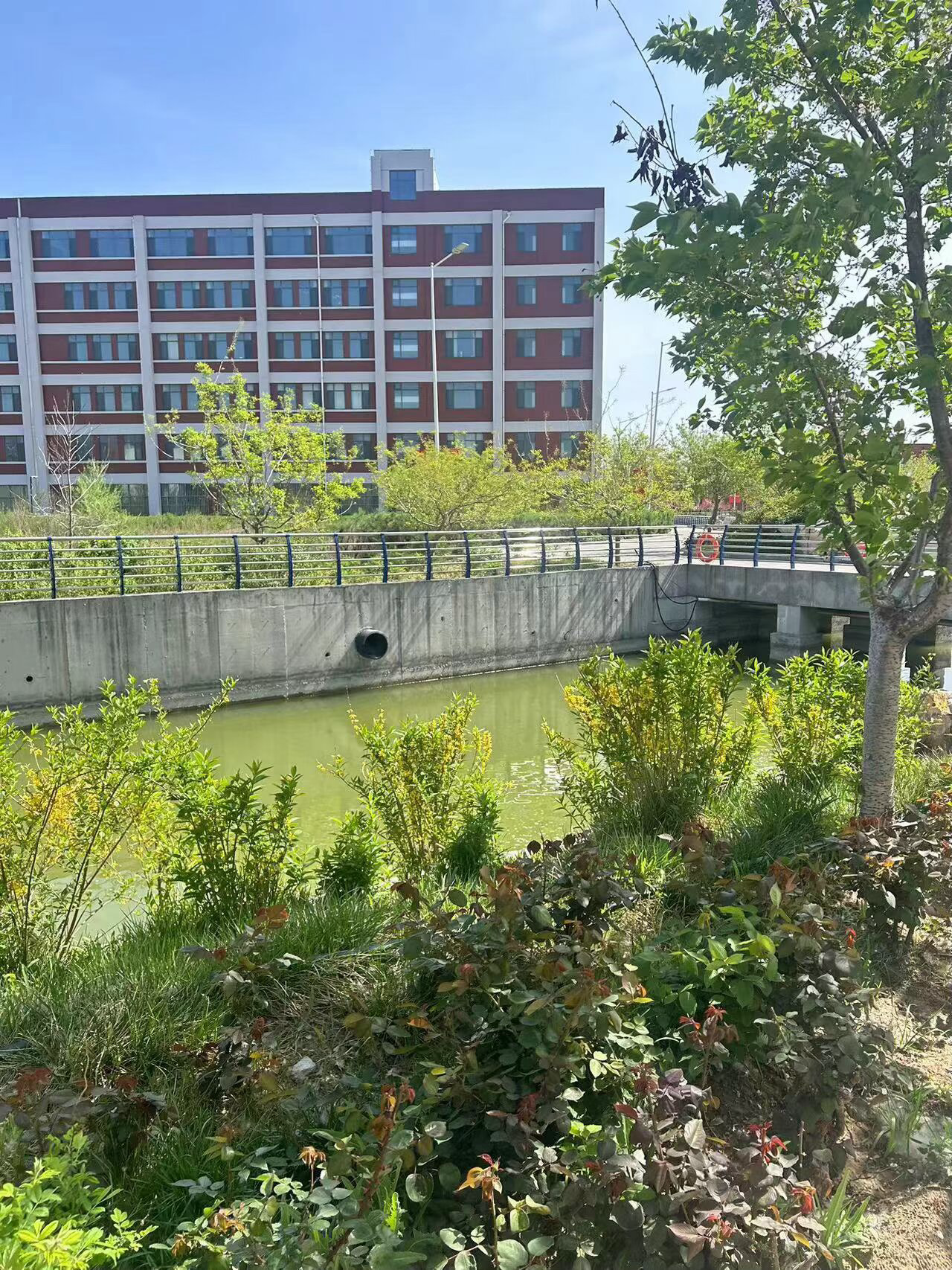 校园环境